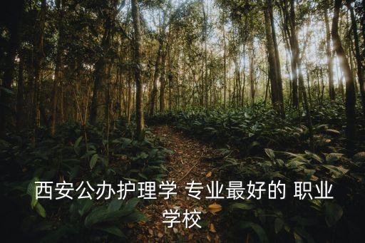  西安公办护理学 专业最好的 职业学校