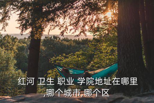  红河 卫生 职业 学院地址在哪里,哪个城市,哪个区