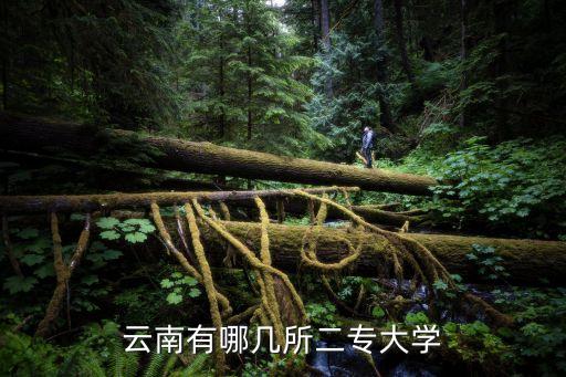 云南有哪几所二专大学