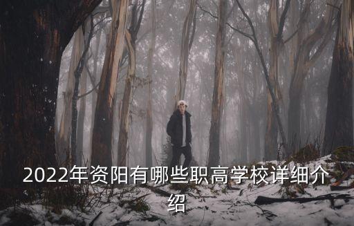 四川希望职业技术学院有多少人