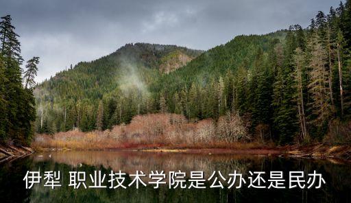 伊犁 职业技术学院是公办还是民办