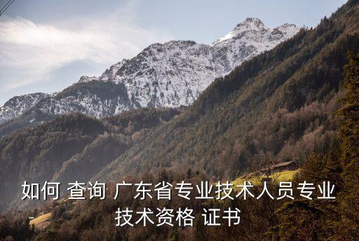 如何 查询 广东省专业技术人员专业技术资格 证书