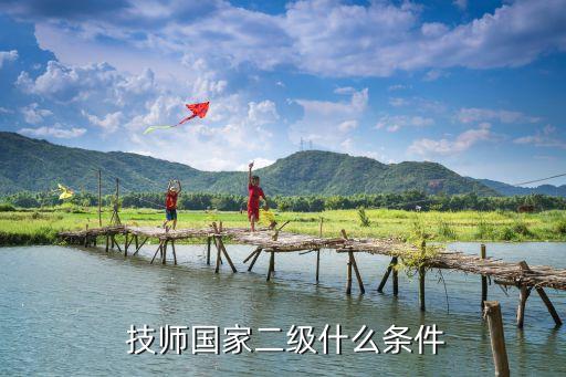  技师国家二级什么条件