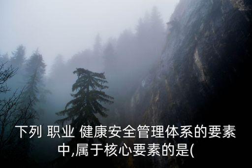 下列 职业 健康安全管理体系的要素中,属于核心要素的是(