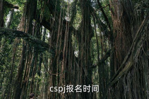 ccf计算机职业资格认证 考题,CCF计算机职业资格认证