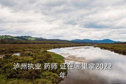 职业药师证在哪领取,执业药师证报名条件