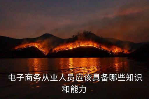  电子商务从业人员应该具备哪些知识和能力