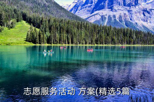 志愿服务活动 方案(精选5篇