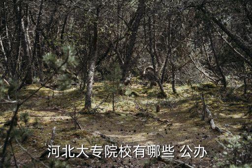  河北大专院校有哪些 公办