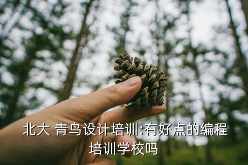  北大 青鸟设计培训:有好点的编程培训学校吗