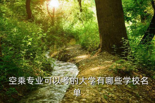  空乘专业可以考的大学有哪些学校名单