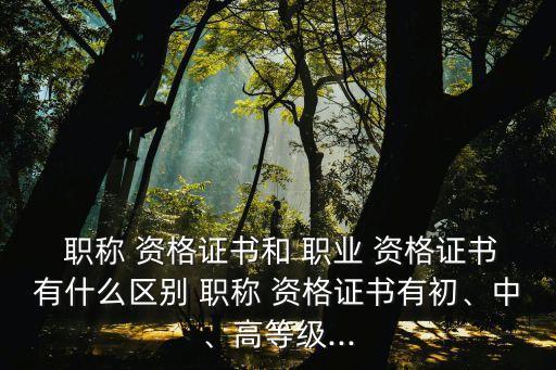  职称 资格证书和 职业 资格证书有什么区别 职称 资格证书有初、中、高等级...