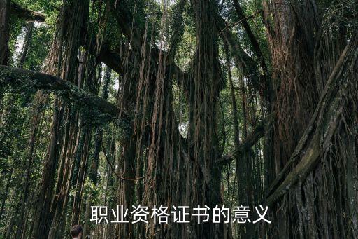  职业资格证书的意义