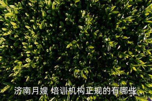 济南月嫂 培训机构正规的有哪些