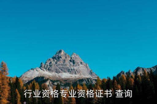 行业资格专业资格证书 查询