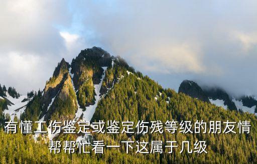 有懂工伤鉴定或鉴定伤残等级的朋友情帮帮忙看一下这属于几级