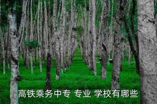 高铁乘务中专 专业 学校有哪些