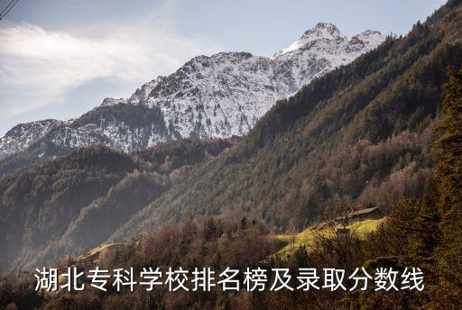湖北专科学校排名榜及录取分数线