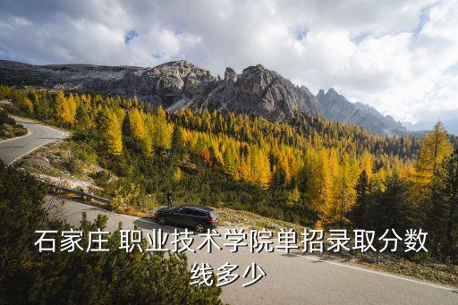  石家庄 职业技术学院单招录取分数线多少