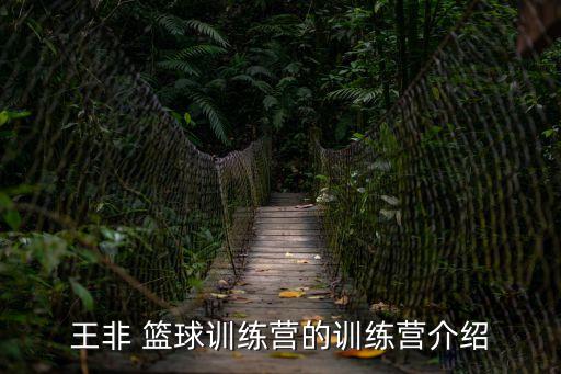 王非 篮球训练营的训练营介绍