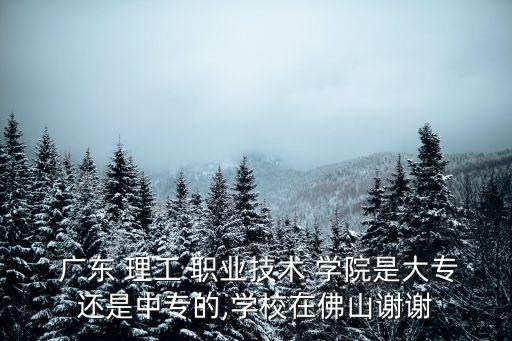 广东 理工 职业技术 学院是大专还是中专的,学校在佛山谢谢