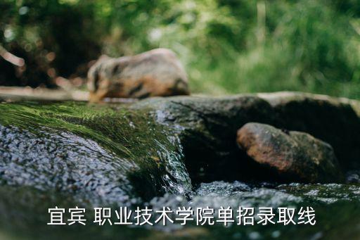  宜宾 职业技术学院单招录取线