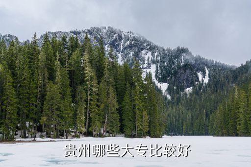 在贵州选那个职业好,贵州那个职业大学好