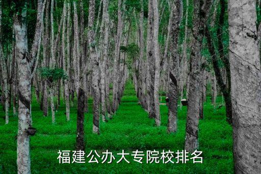 福建公办大专院校排名