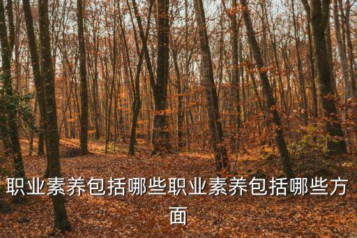 职业素养包括哪些职业素养包括哪些方面