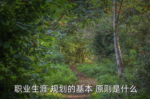 职业规划书调整原则,大学生职业规划调整原则