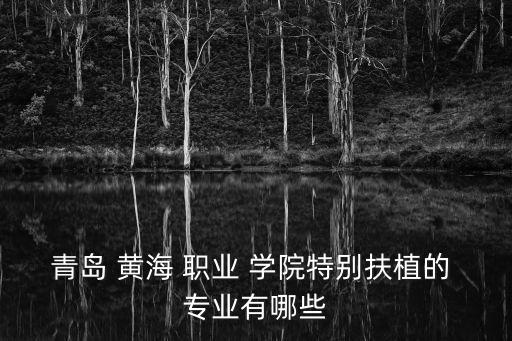 青岛 黄海 职业 学院特别扶植的 专业有哪些