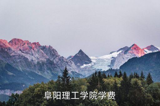阜阳理工学院学费