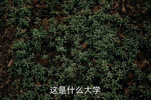 北洋职业技术学校校长,威海北洋职业技术学校教师招聘