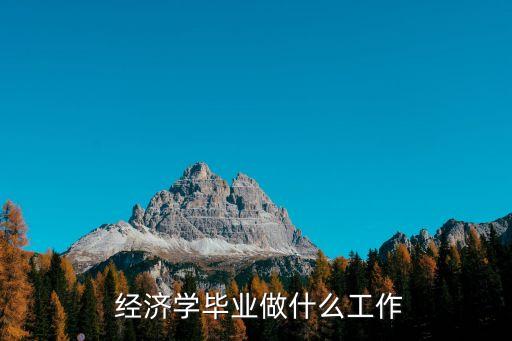  经济学毕业做什么工作
