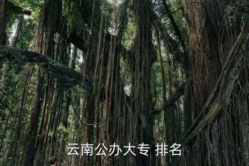 昆明市职业学校排名,云南省昆明市职业学校排名
