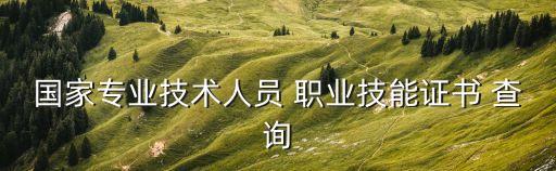 国家专业技术人员 职业技能证书 查询