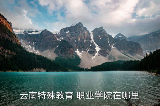 云南特殊教育 职业学院在哪里