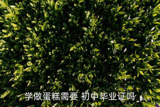 学做蛋糕需要 初中毕业证吗