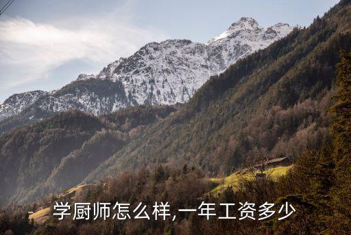 学厨师怎么样,一年工资多少