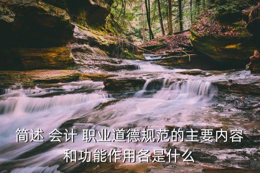 简述 会计 职业道德规范的主要内容和功能作用各是什么