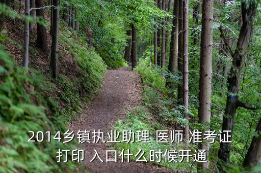 2014乡镇执业助理 医师 准考证 打印 入口什么时候开通