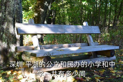  深圳 平湖的公立和民办的小学和中学一共有多少间