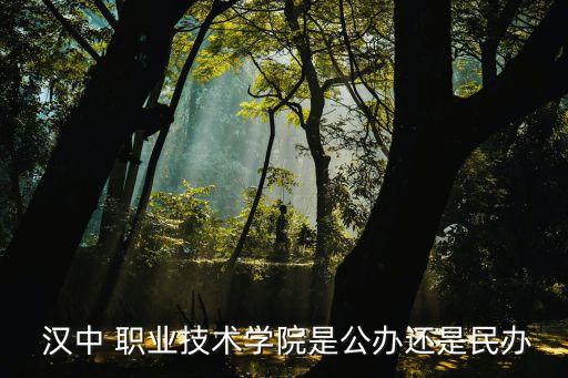  汉中 职业技术学院是公办还是民办