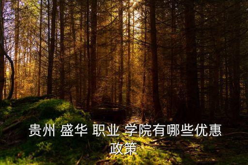  贵州 盛华 职业 学院有哪些优惠政策