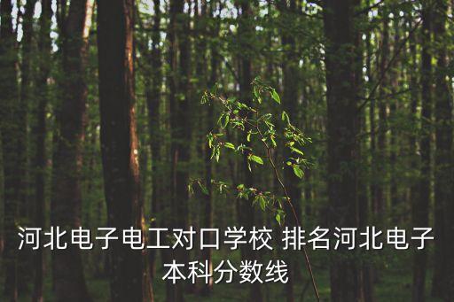 河北电子电工对口学校 排名河北电子本科分数线