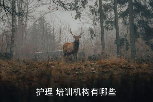 护理 培训机构有哪些