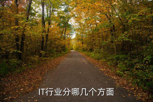 it职业人图片,职业资格证图片