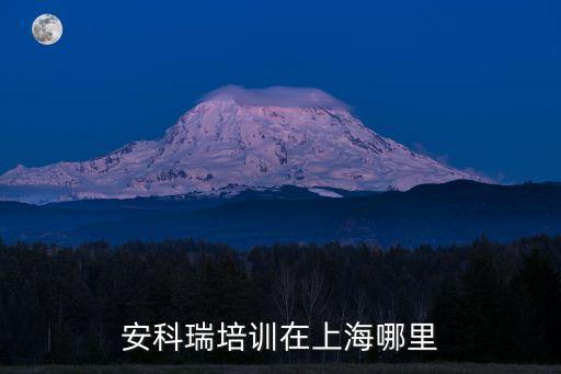 安科瑞培训在上海哪里