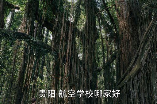  贵阳 航空学校哪家好