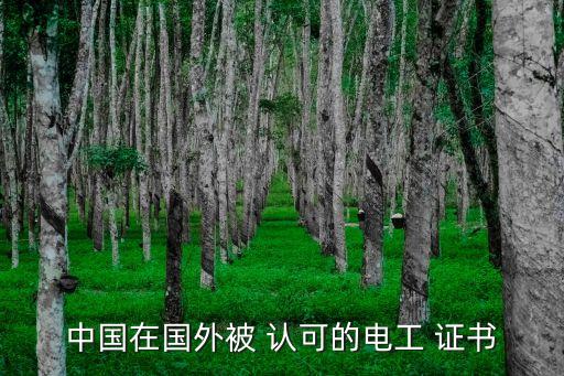 国家职业资格证书国际认可